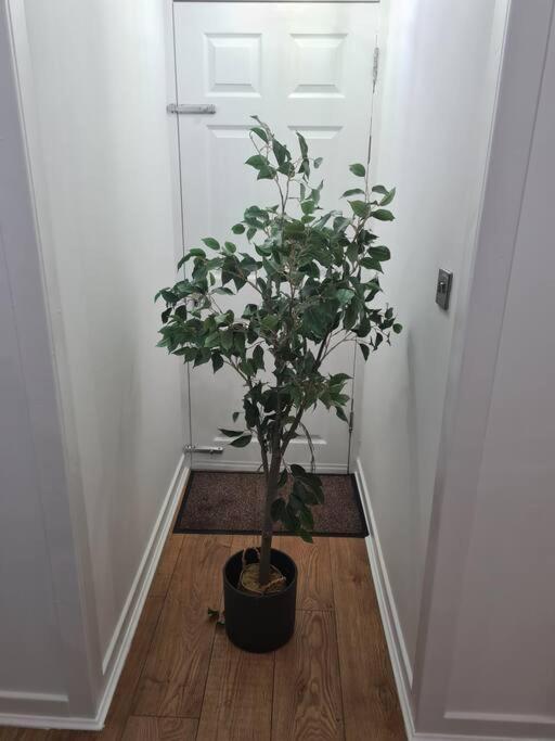 Lovely 2 Bedroom Garden Flat In Trendy West End Glasgow Exterior foto